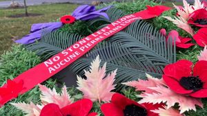 Remembrance Day Sparks Passionate Debates Over Meaning And Tradition