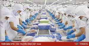 Vietnamese Businesses Prepare For US Tariff Challenges