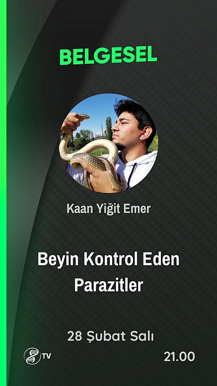 Veteriner Günlüğü: Beyin Kontrol Eden Parazitler