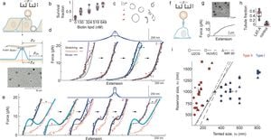 Exploring Magneto-Mechanical Coupling In Two-Dimensional Materials