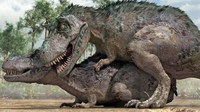 Dinozorlarda Üreme: Dinozorlar Nasıl Seks Yapıyordu?