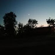 Evin Yüzucu