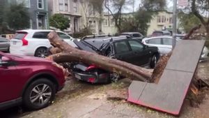 Severe Weather Strikes Bay Area: First Tornado Warning Issued