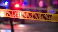 Multiple pedestrians hit by vehicle on university campus in Ontario: police | insauga