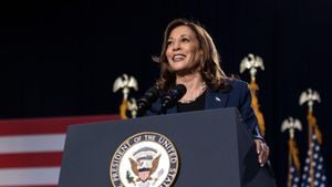 Kamala Harris Faces Identity Politics And Global Tensions Amid Campaign Struggles