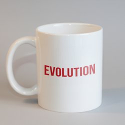 ''Evolution - Evrim'' Kupa