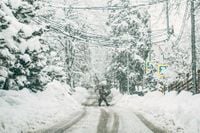 30 cm of snow expected in parts of Ontario | insauga