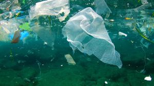 Confronting The Plastic Pollution Challenge