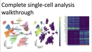 New Method Enhances Single-Cell RNA Sequencing Analysis