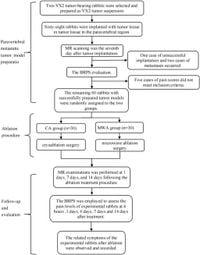 Comparing the efficacy and safety of cryoablation and microwave ablation in treating paravertebral metastases of rabbit VX2 tumor - Scientific Reports