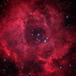 The Rosette Nebula