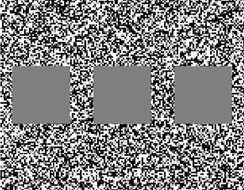 Bir stereo görüş testinin monoküler ön izlemesi