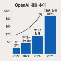 새 이미지 생성 AI 모델 내놓은 오픈AI, 올 매출 20조원 육박 전망