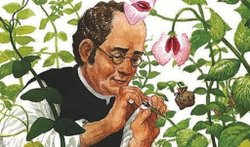 Monohibrit Çaprazlama ile Kendileştirme ilkesi arasında bir fark var mı?