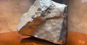 Largest Mars Meteorite Ever Found Sells For Millions