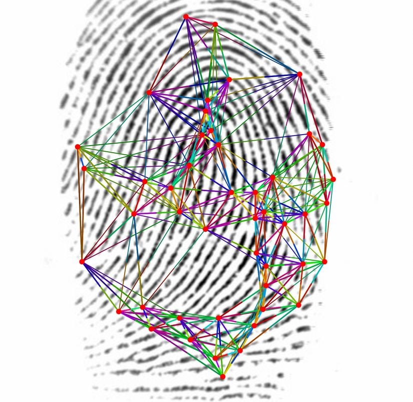 Benzer kenarlara sahip parmak izi işaretleyicileri (minutiae), benzer renklerle işaretlenmiştir.