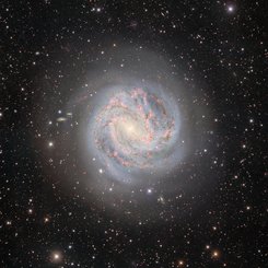 M83: Güney Fırıldağı