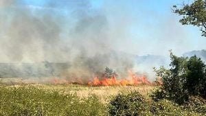 Plane Crash Near Fort Worth Sparks Deadly Fire Emergency