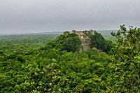 Mexico, Guatemala and Belize create trinational reserve to protect Maya Forest - Wanderlust