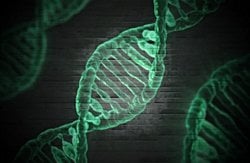 Evrim Nedir? Birikimli Seçilim ve "Ara Türler" Üzerine...