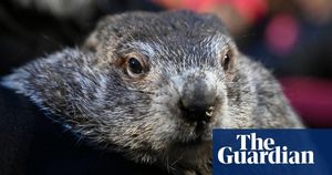 Pennsylvania Governor Shapiro Rejects PETA's Cake Proposal For Groundhog Day