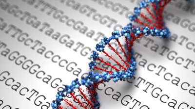 Popülasyon Genomiği Nedir? Toplumların Genetiği Bize Neler Öğretir?