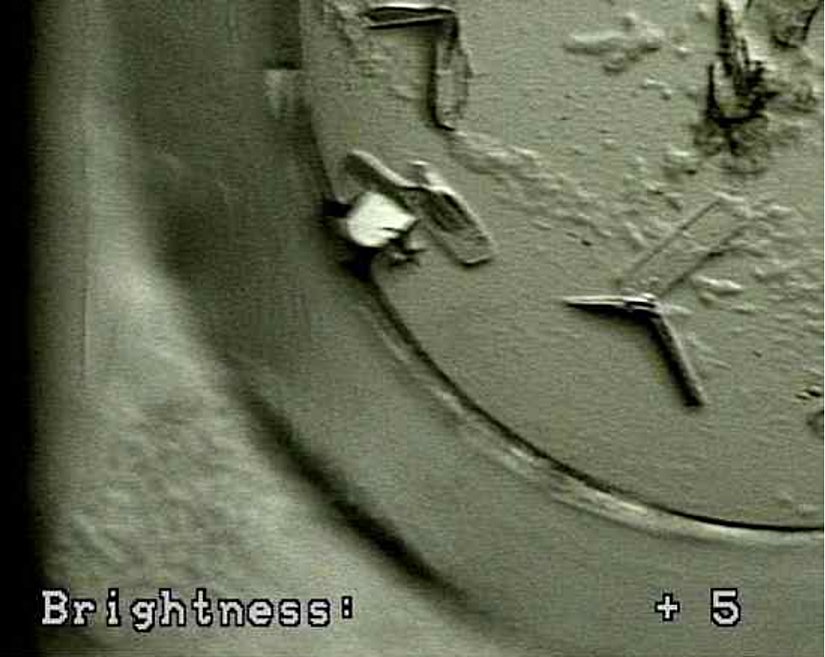 Deney ilk olarak Yapısal Biyoloji laboratuvarında Dr. Andy Fisher tarafından önerildi. Michelle Towles, Sean Gay'in araştırma görevlisiydi ve proteini saflaştırdı ve kristal tepsileri yerleştirdi.