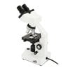 Celestron Labs CB1000CF Binoküler Biyolojik Mikroskop