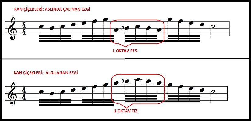 Kan Çiçekleri: Çalınan ve Algılanan Ezgi