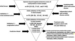 Unveiling Immune Gene Signatures: Insights On Ulcerative Colitis