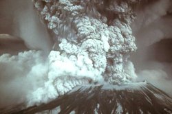 Sincaplar ve Görünmez Yardımcıları St. Helens Dağı’nı Yeniden Canlandırdı.