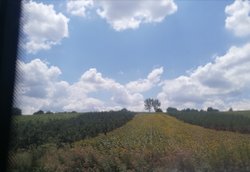 Parelel evrenlere nasıl geçiş yaparım?