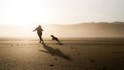 En Önemli 9 İnsan Değeri