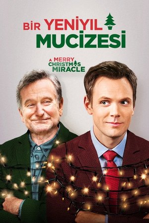 Bir Yeni Yıl Mucizesi