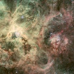 Tentacles of the Tarantula Nebula