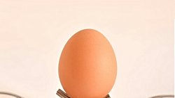 Yumurta Kapıya Gelince: Deyimlerimizdeki Evrimsel Baskı ve "Son Dakika" Kurtuluşunun Biyolojisi