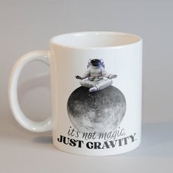 ''Just Gravity'' Kupa
