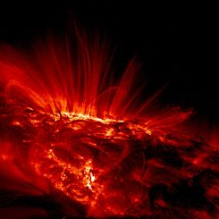 Sunspot Loops in Ultraviolet