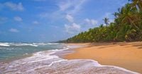 Unidentified burned bodies wash ashore in Trinidad following Trump boat strikes