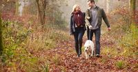 Could this essential oil help repel ticks carrying Lyme disease? Here’s what a new Canadian study found