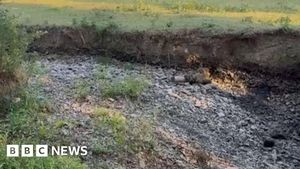 Powys Residents Rescue Fish Amid Historic Drought