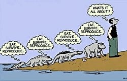 Neden evrimsel süreçte kendimizi sorgulama gibi küçük yaşta bile görülen bir düşünce evrimleşmiş bu yaratılışçılara göre bu zaten insanda olan bir şey, peki bilim buna ne diyor?