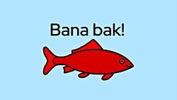 Kırmızı Sazan Safsatası (Tahrik Safsatası): O Değil de Bu Yazı Çok Güzel Değil mi?