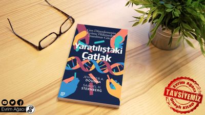 Kitap Analizi: Yaratılıştaki Çatlak