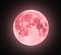 Lua Rosa acontecerá neste domingo (13); entenda o fenômeno