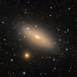  Spiral Galaxy NGC 2841 