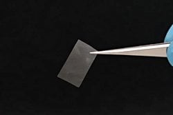 Yeni Mantar Tabanlı Malzeme: Isıya, Sıcağa ve Radyasyona Dayanıklı Süper Biyomateryal Geliştirildi.