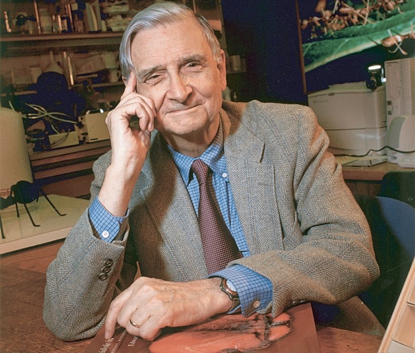 E. O. Wilson is an American evolutionary biologist, the founder and a pioneer of the field of sociobiology. He dedicated much of his career to the study of ants, particularly their behaviour.