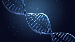 Varyasyon (Çeşitlilik), Adaptasyon, Evrim ve Biyoçeşitlilik Arasındaki İlişki Nedir?