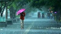 Punjab Weather Update: ਸੂਬੇ 'ਚ ਮੀਂਹ ਹਨੇਰੀ ਨੇ ਵਧਾਈ ਕਿਸਾਨਾਂ ਦੀ ਚਿੰਤਾ, ਅੱਜ ਲਈ ਵੀ ਹਲਕੀ ਬਾਰਿਸ਼ ਦਾ ਅਲਰਟ ਜਾਰੀ - Punjab Weather Update Rain and thunderstorm in the state have increased the concerns of farmers light rain alert issued for today as well
